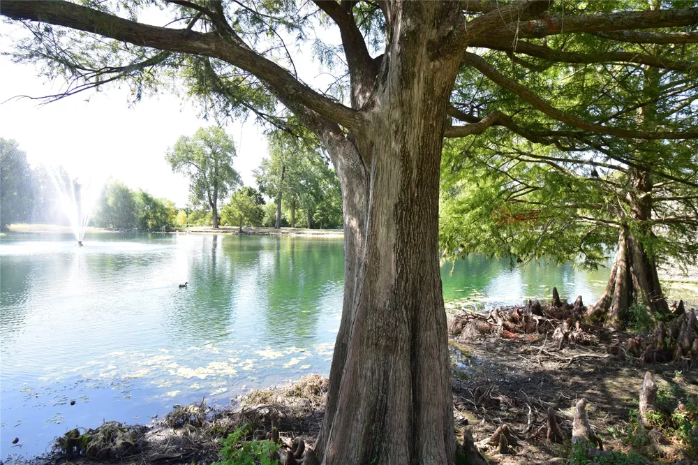 1109 Shadow Lakes Boulevard Allen, TX 75002