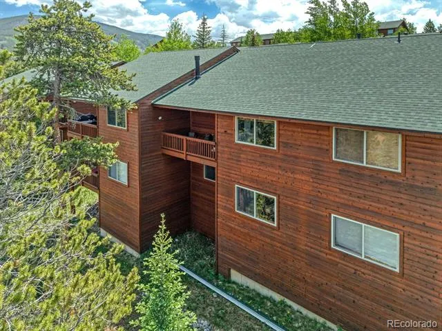 113 Lookout Ridge Drive Dillon, CO 80435