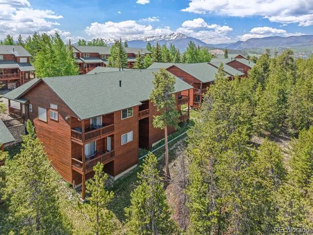 113 Lookout Ridge Drive Dillon, CO 80435