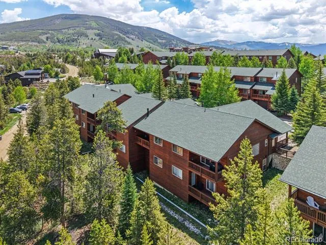 113 Lookout Ridge Drive Dillon, CO 80435
