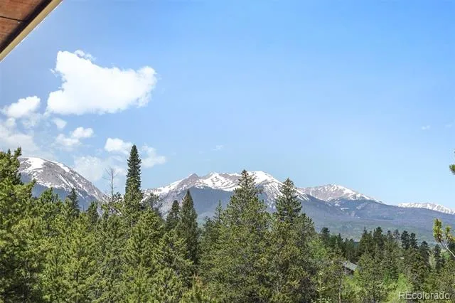 113 Lookout Ridge Drive Dillon, CO 80435