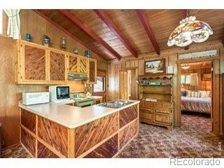 702 Bryan Avenue Nederland, CO 80466