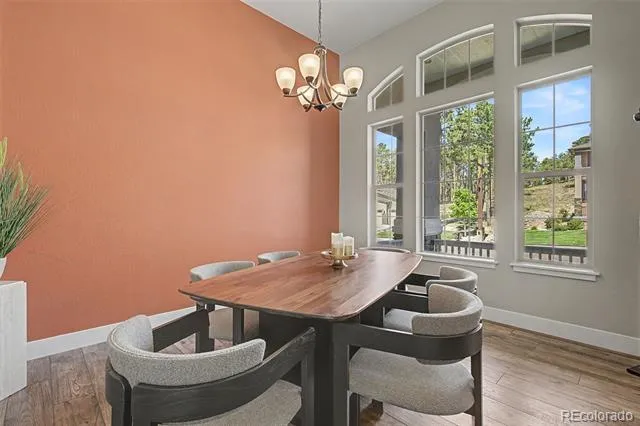 16249 Thunder Cat Way Monument, CO 80132