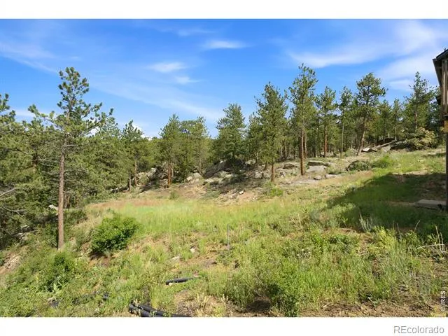 200 Rocky Knob Lane Nederland, CO 80466