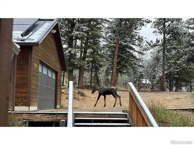 200 Rocky Knob Lane Nederland, CO 80466
