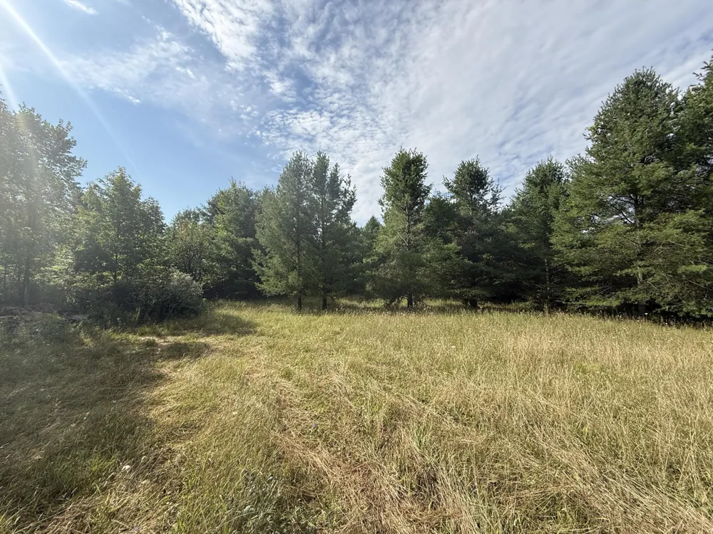 5544 Rose City Circle Hale, MI 48739