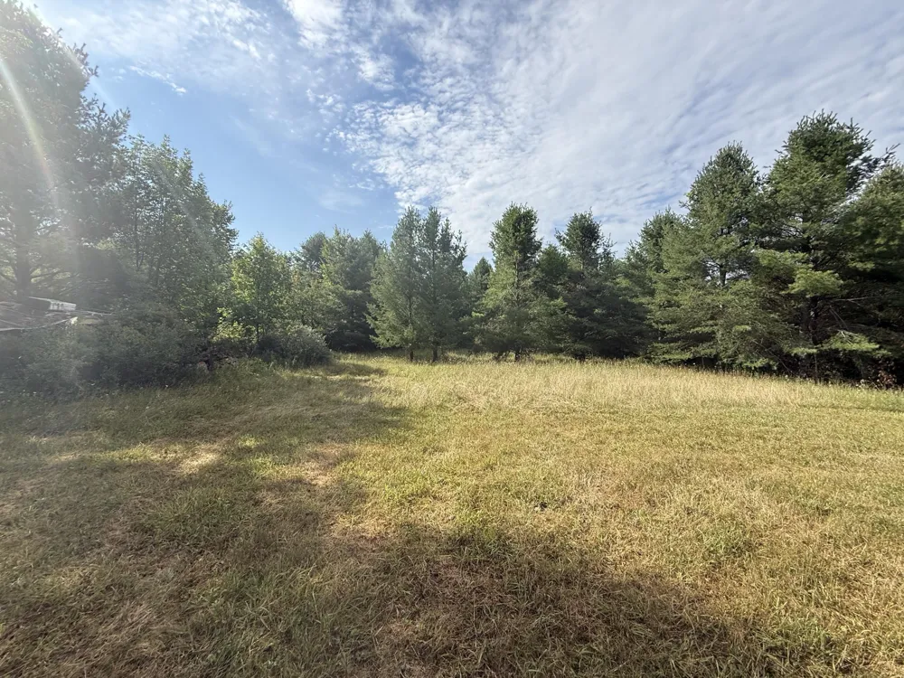 5544 Rose City Circle Hale, MI 48739