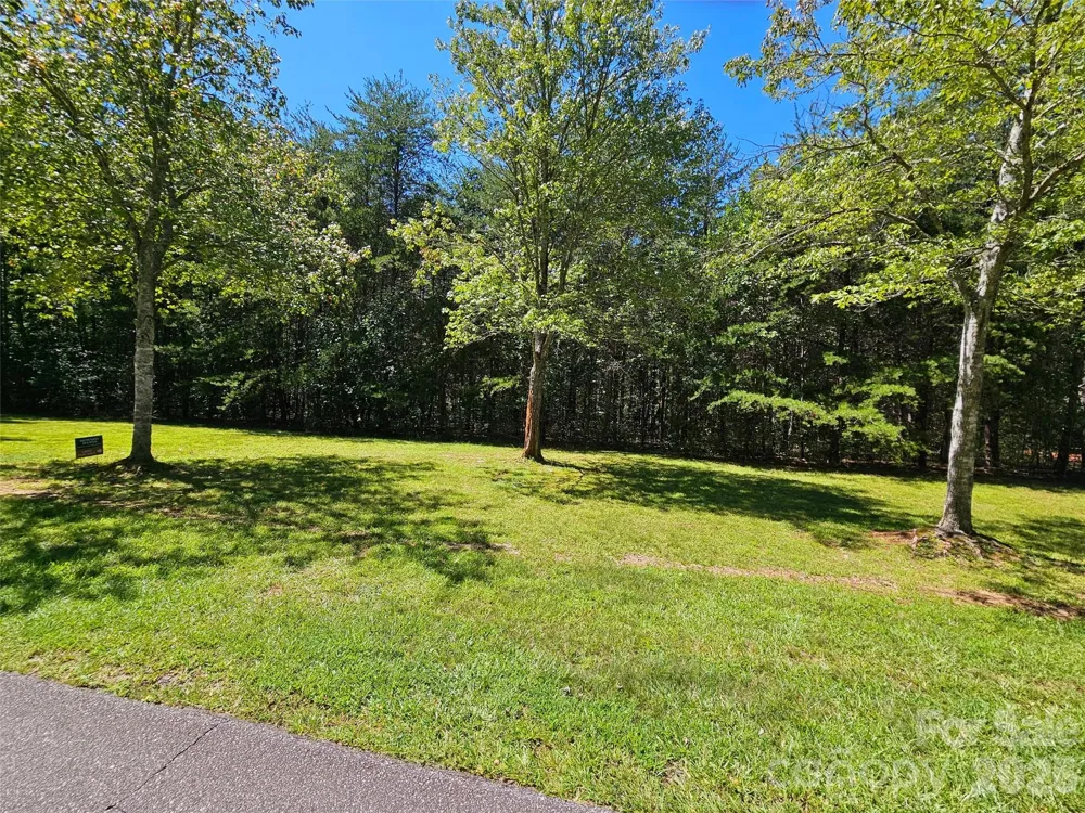 0 Shepherds Creek Circle #0 Rutherfordton, NC 28139