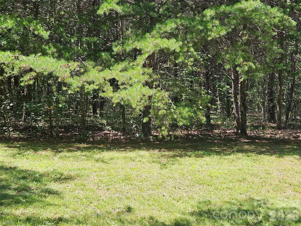 0 Shepherds Creek Circle #0 Rutherfordton, NC 28139