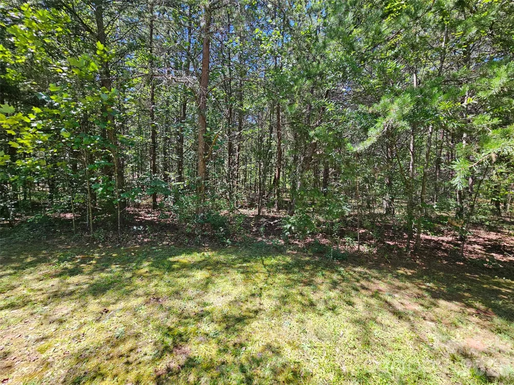 0 Shepherds Creek Circle #0 Rutherfordton, NC 28139