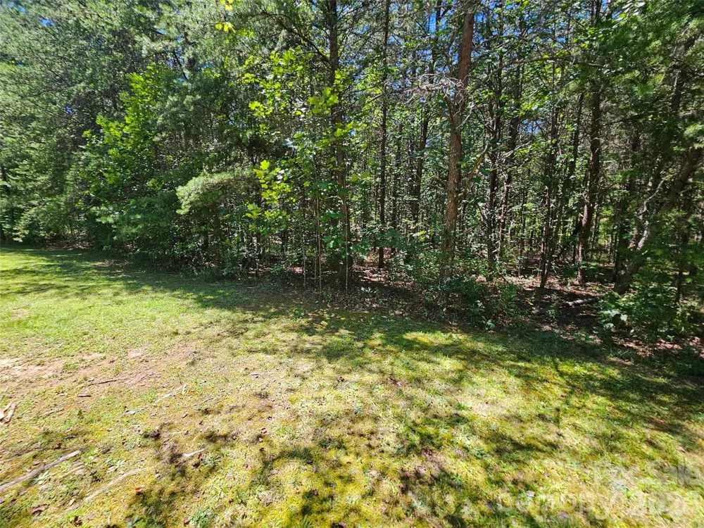 0 Shepherds Creek Circle #0 Rutherfordton, NC 28139