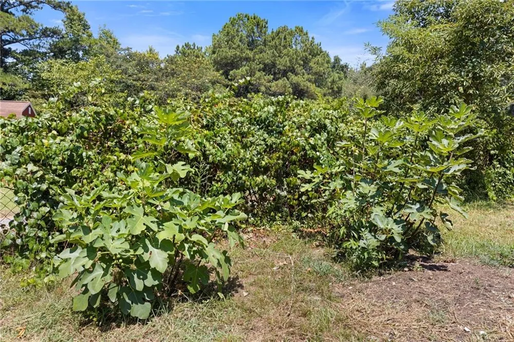 8274 Highway 166 Douglasville, GA 30135