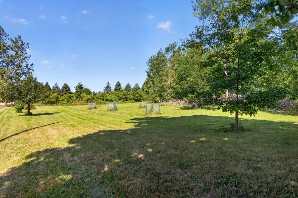 20626 Waldo Road Chelsea, MI 48118