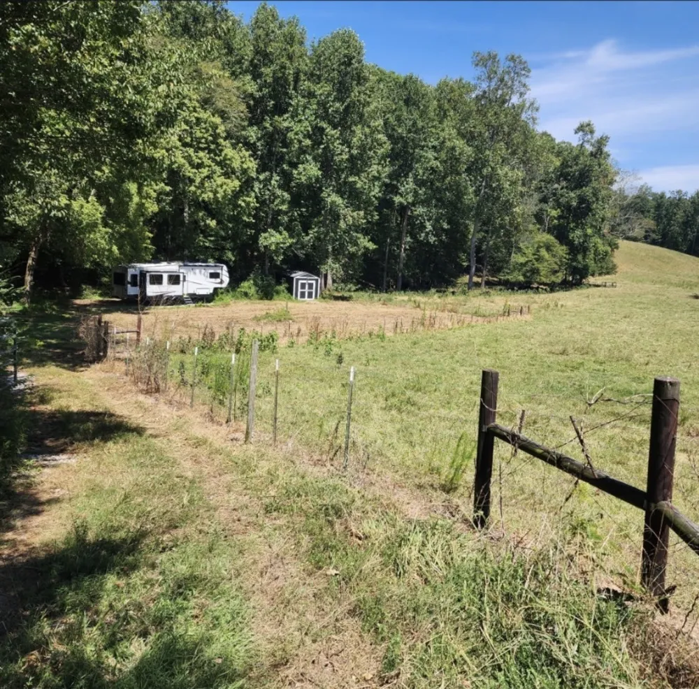 266 Shoally  Branch Leoma, TN 38468