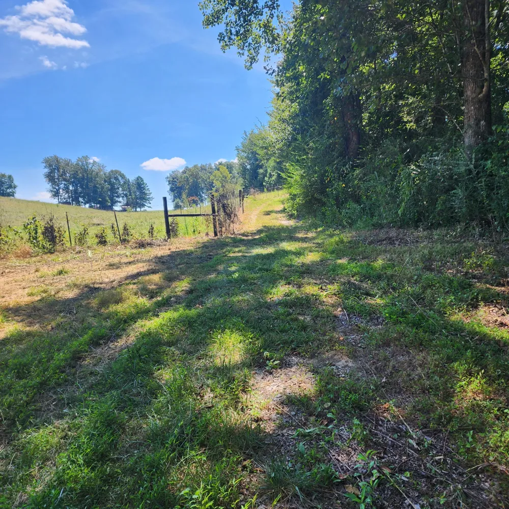 266 Shoally  Branch Leoma, TN 38468