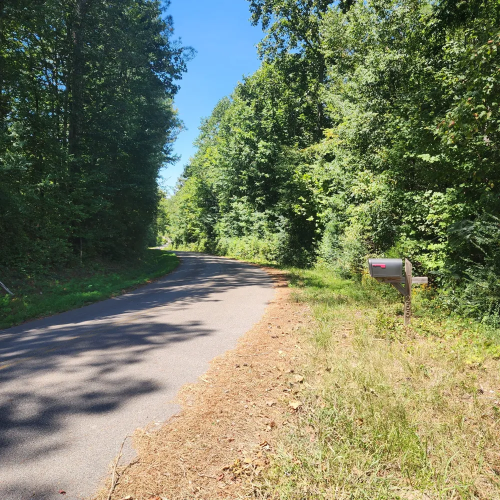 266 Shoally  Branch Leoma, TN 38468