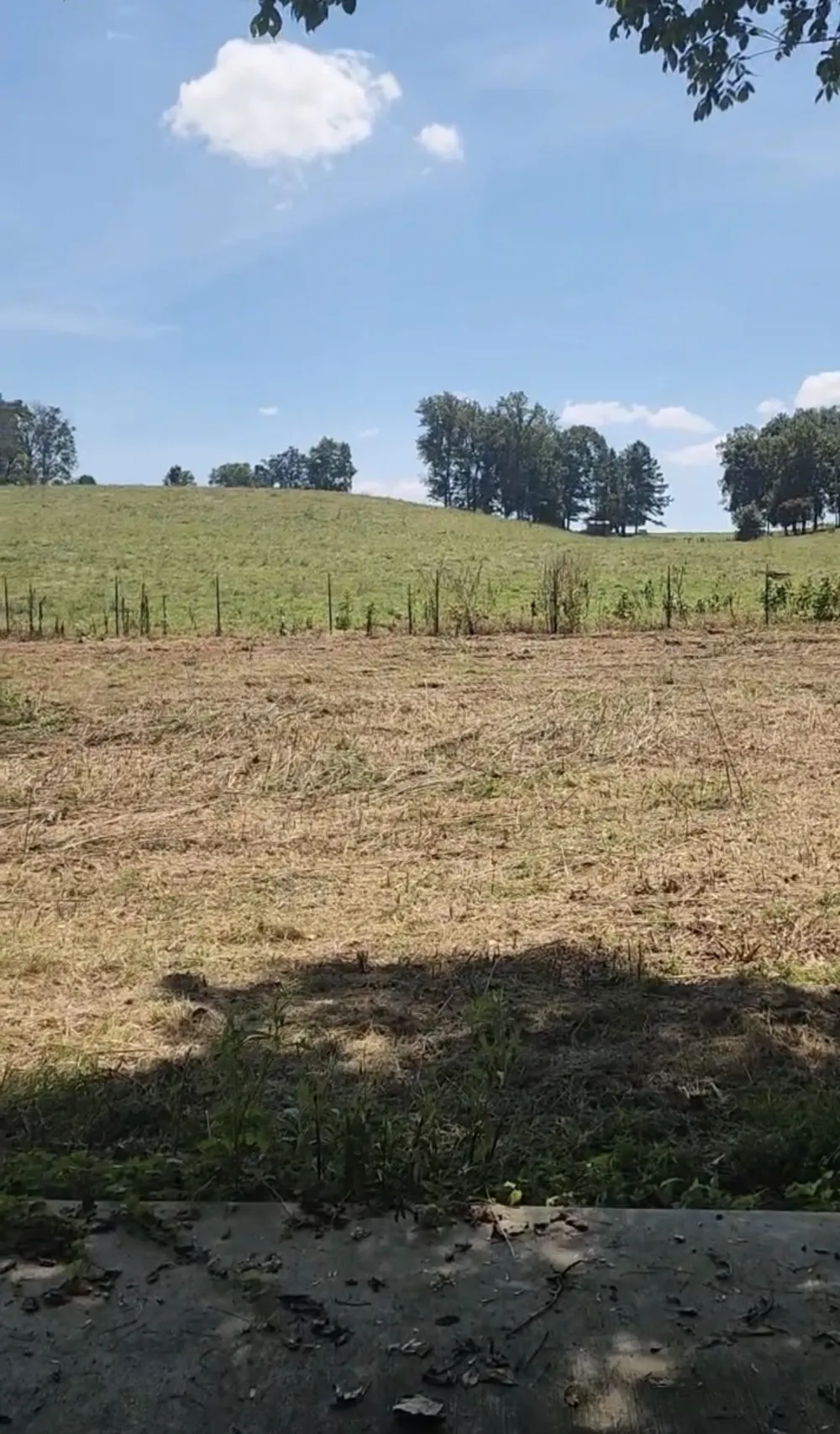 266 Shoally  Branch Leoma, TN 38468