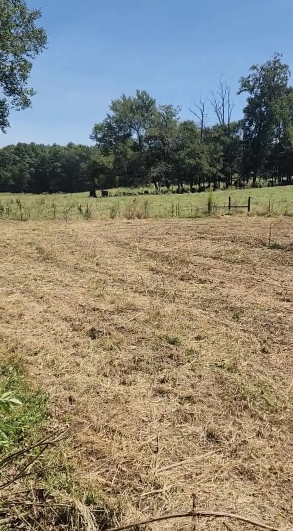 266 Shoally  Branch Leoma, TN 38468