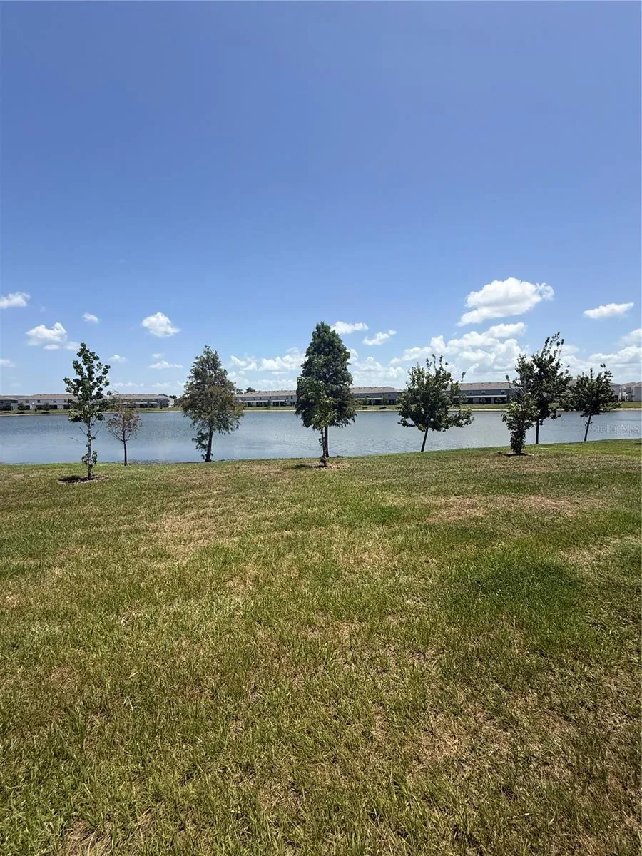 191 MANGROVE SHADE CIRCLE Apollo Beach, FL 33572