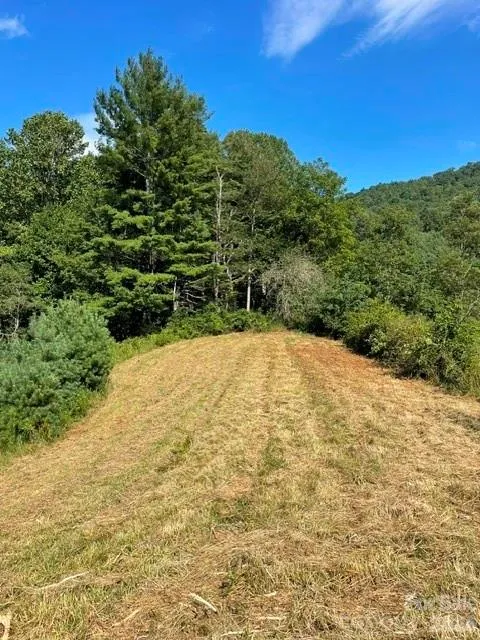 1005 Roberts Branch Road Marshall, NC 28753