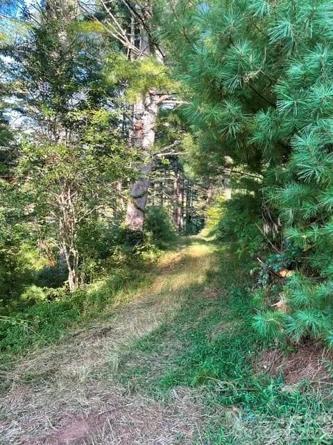 1005 Roberts Branch Road Marshall, NC 28753