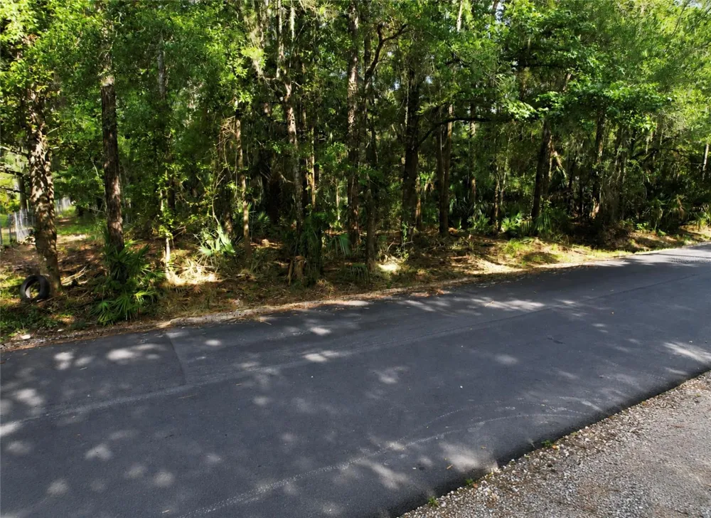 119 SANDI STREET Inglis, FL 34449