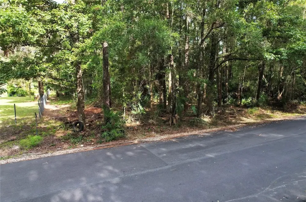 119 SANDI STREET Inglis, FL 34449