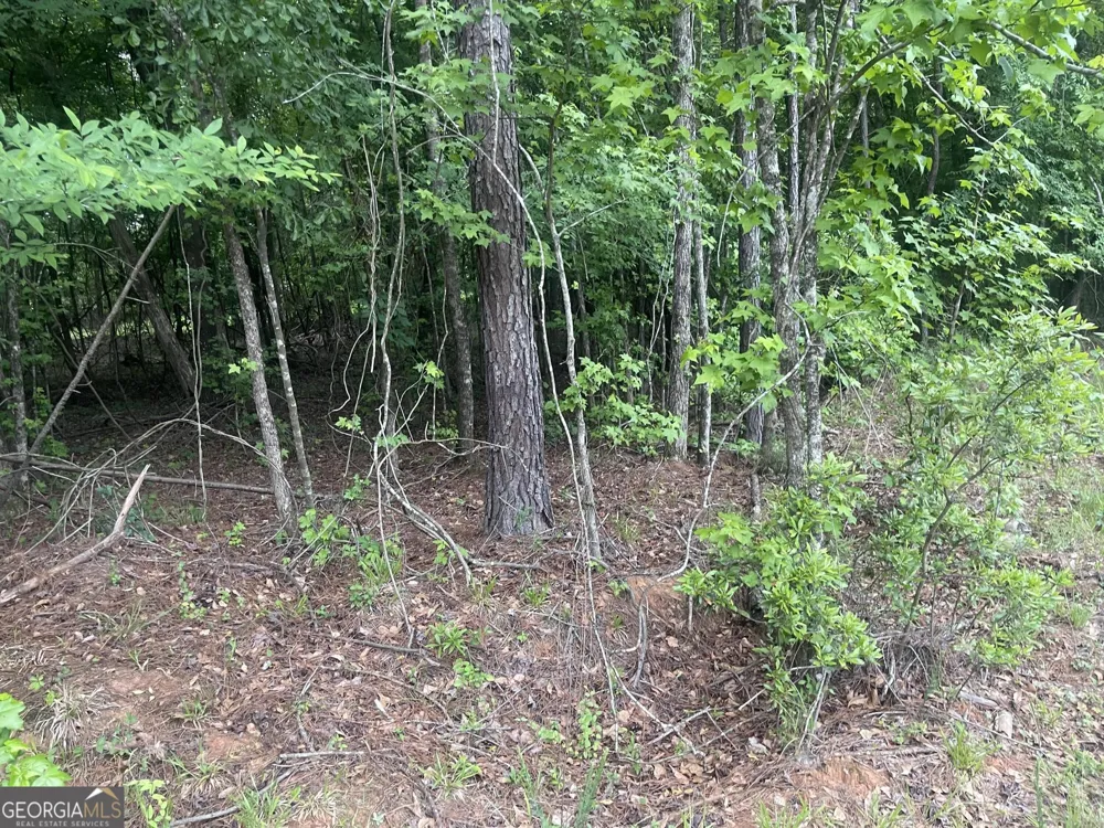 1716 Ranger RD Warrenton, GA 30828