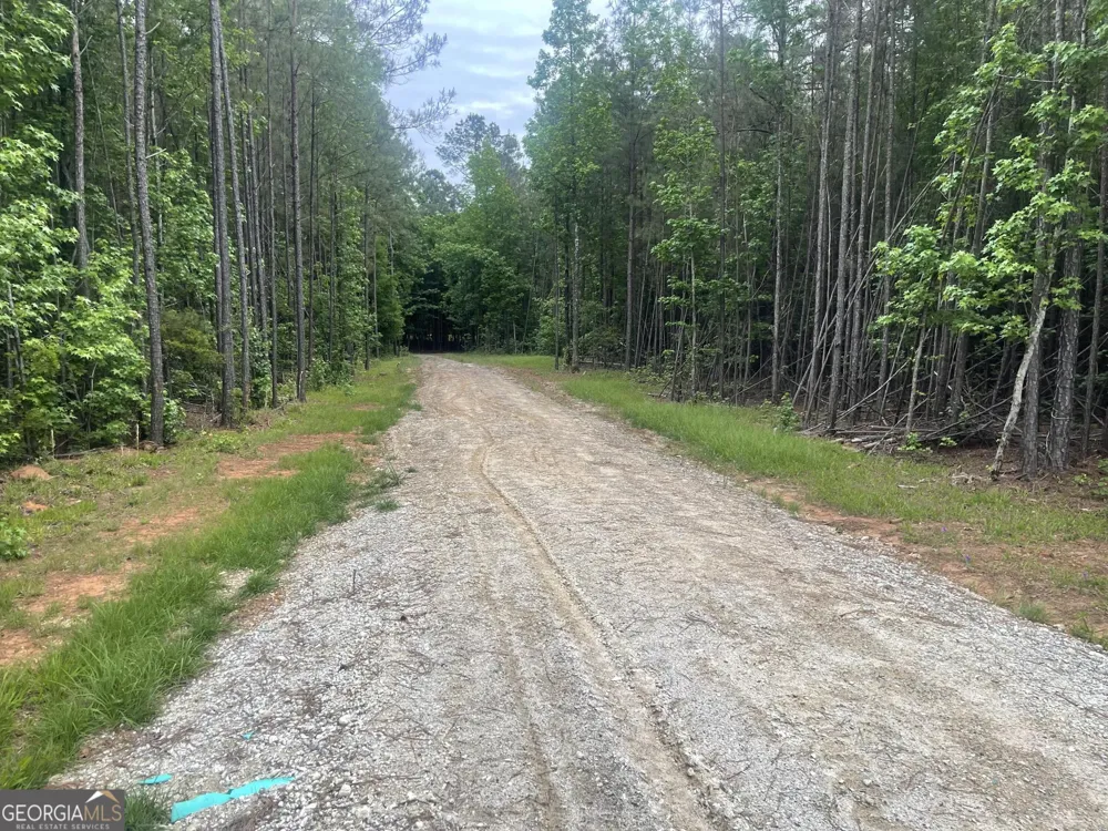1716 Ranger RD Warrenton, GA 30828