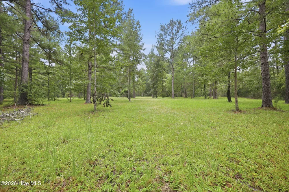 301 Seawell Farm Road Bayboro, NC 28515
