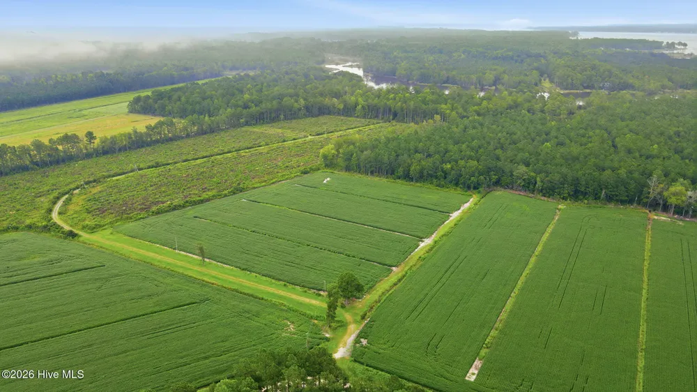 301 Seawell Farm Road Bayboro, NC 28515