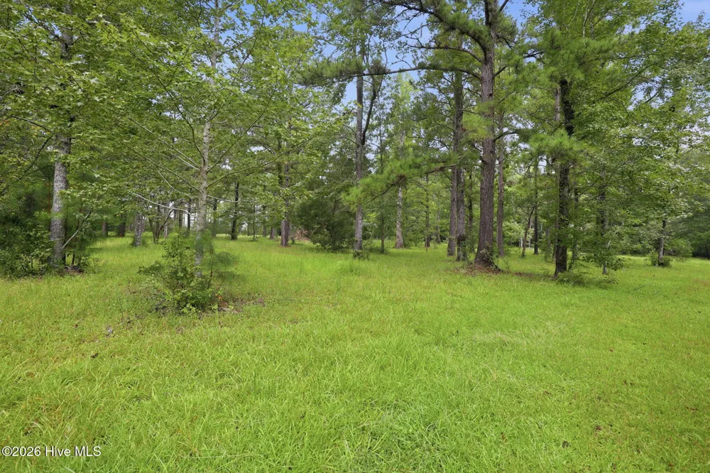 301 Seawell Farm Road Bayboro, NC 28515