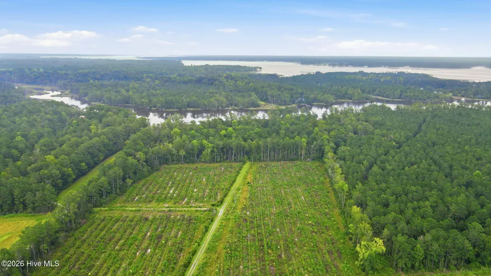 301 Seawell Farm Road Bayboro, NC 28515