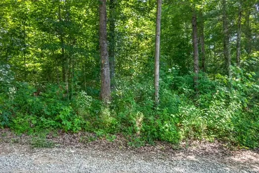 0 Eagle Lane Sparta, TN 38583