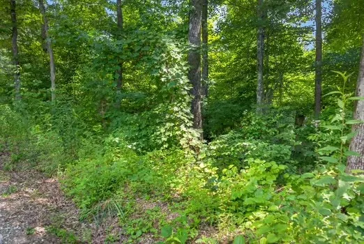 0 Eagle Lane Sparta, TN 38583