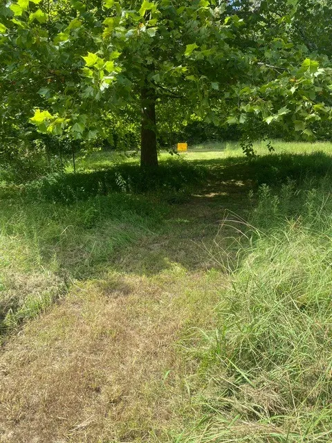 5217 Ragsdale Rd Manchester, TN 37355