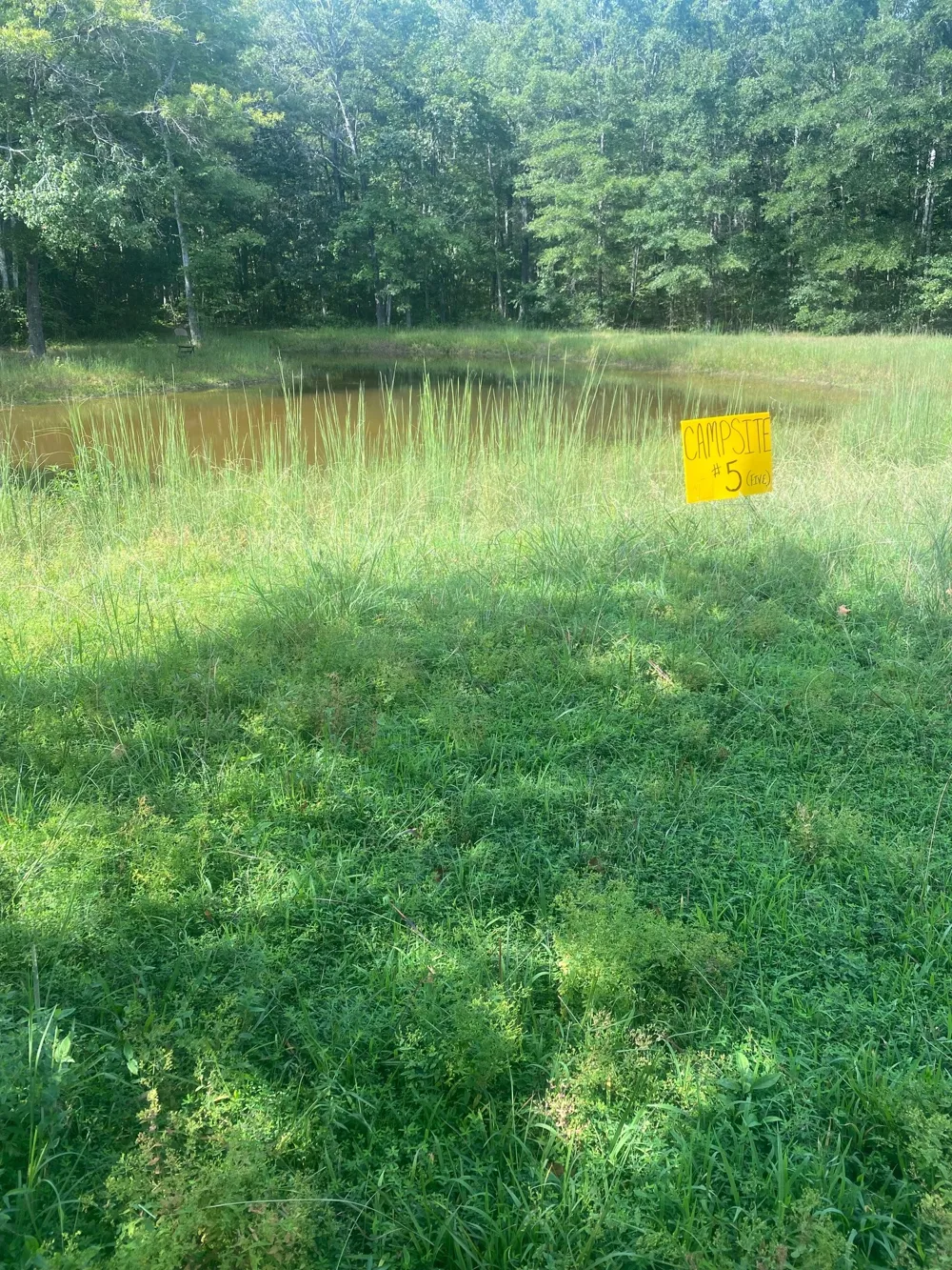 5217 Ragsdale Rd Manchester, TN 37355