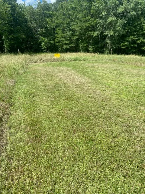 5217 Ragsdale Rd Manchester, TN 37355