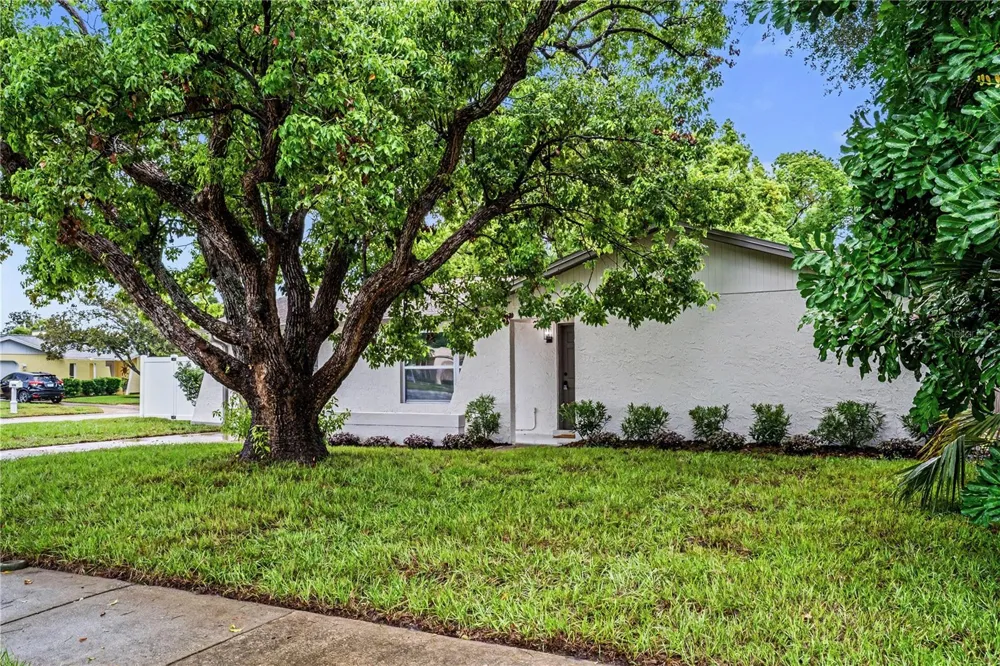 11928 TEMPLE CT Seminole, FL 33772