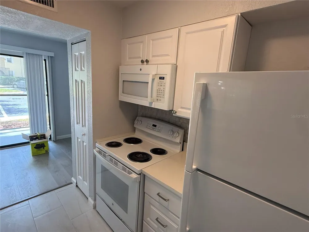 3001 58TH AVENUE S #613 St Petersburg, FL 33712