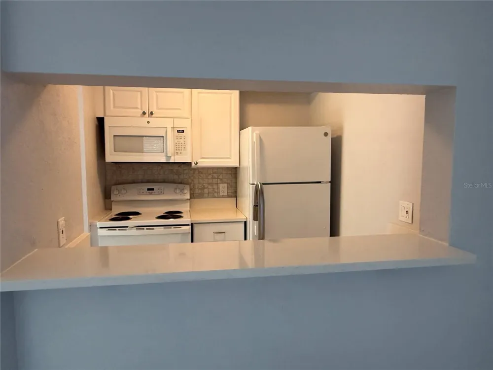 3001 58TH AVENUE S #613 St Petersburg, FL 33712