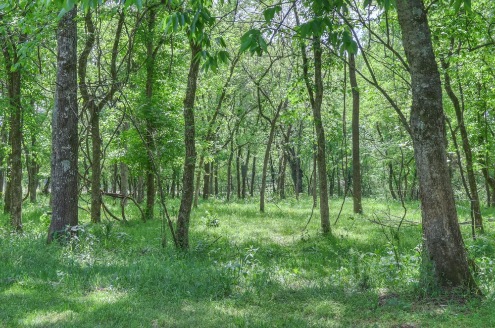 2153 Williamsport Pike Columbia, TN 38401