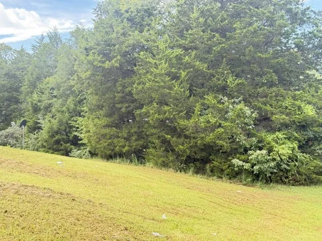 1295 Carney Winters Rd Ashland City, TN 37015