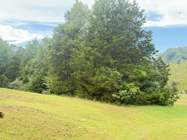 1295 Carney Winters Rd Ashland City, TN 37015