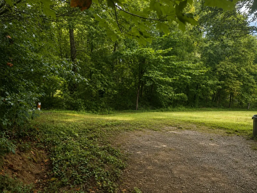 1295 Carney Winters Rd Ashland City, TN 37015