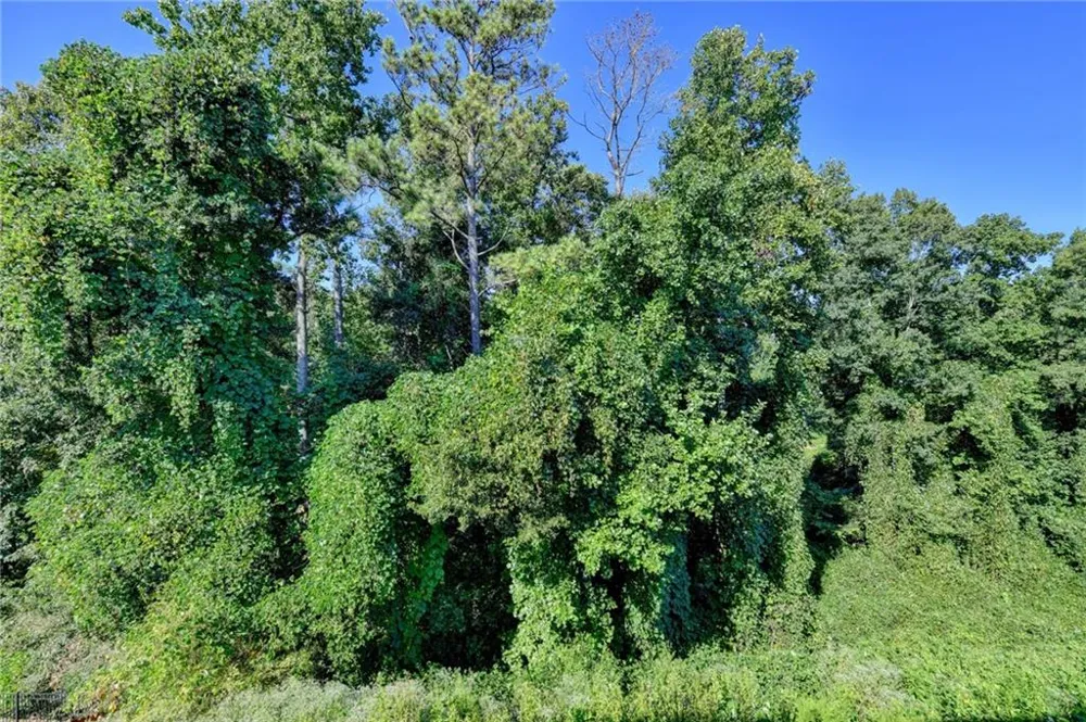 3860 Grandview Manor Drive Cumming, GA 30028