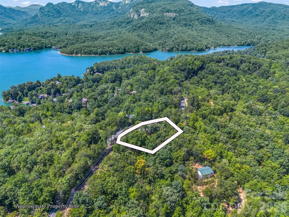 1050 Buffalo Shoals Road Lake Lure, NC 28746