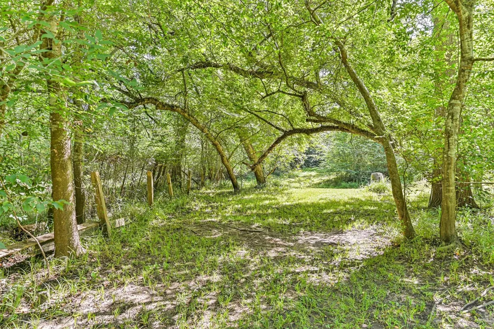 7445 Cobbs Oak Lane Rosharon, TX 77583
