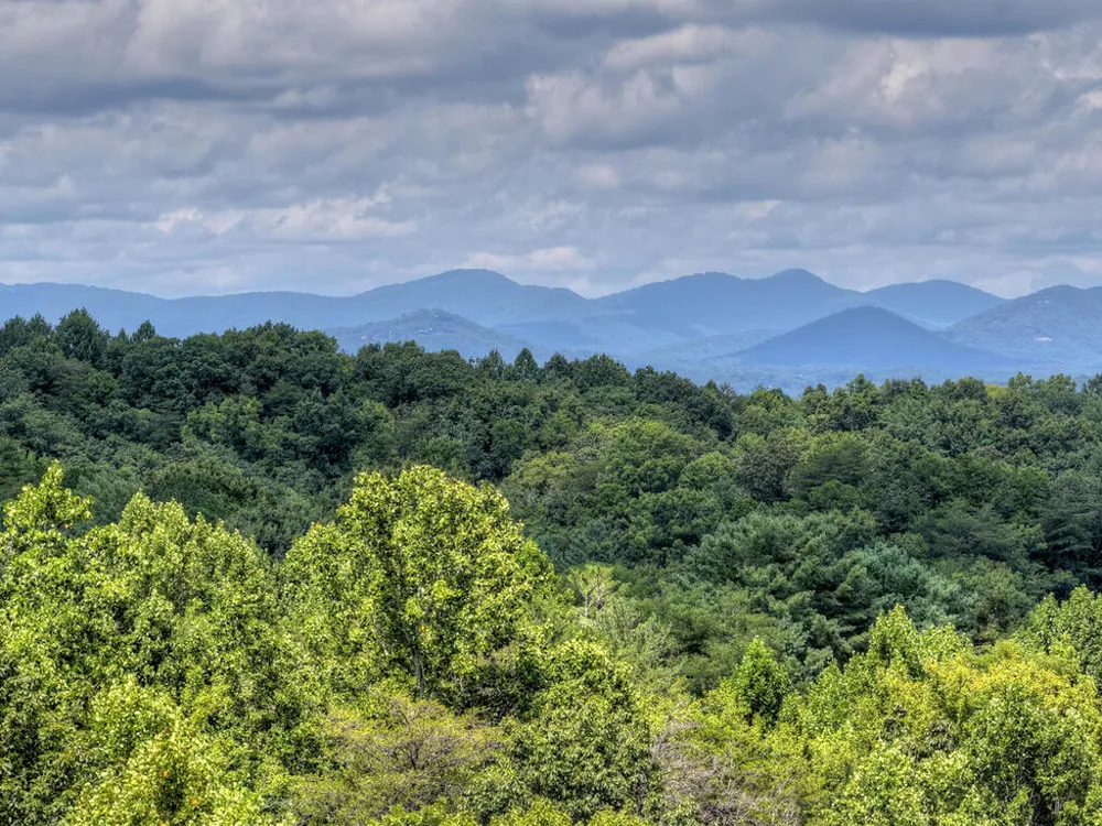 418 Lakeview Drive Blue Ridge, GA 30513