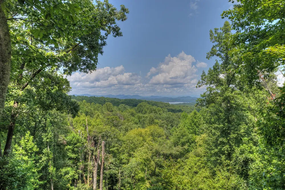 418 Lakeview Drive Blue Ridge, GA 30513